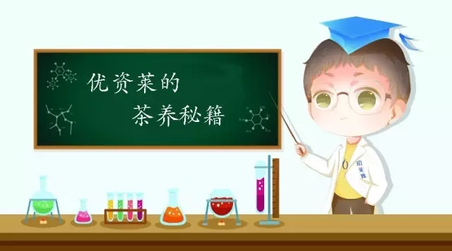 1504507214530131IgMk.jpg 1.webp.jpg